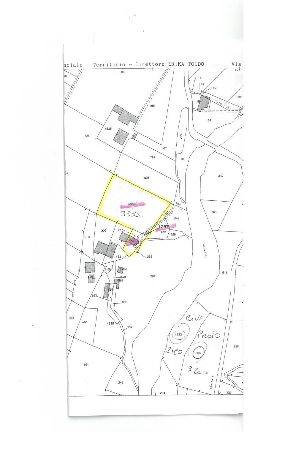 Planimetria ID 5335041