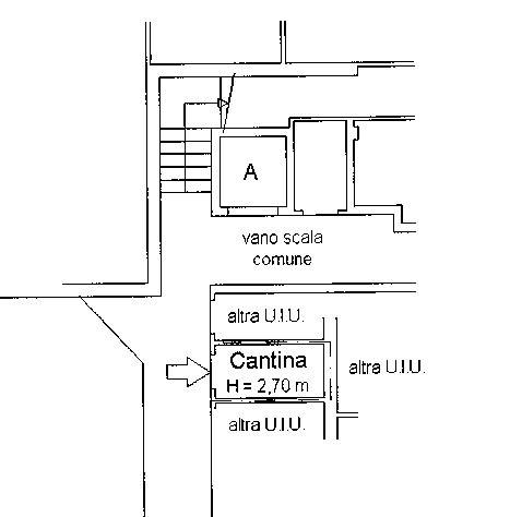 planimetria cantina