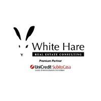 white hare logo