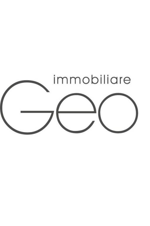 geo immobiliare logo 2012 (2) - Copia