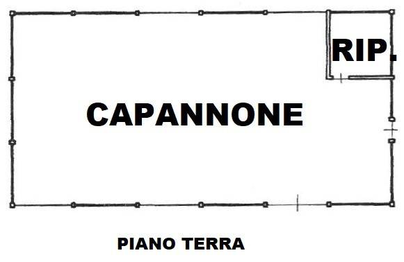 PIANO TERRA CAPANNONE