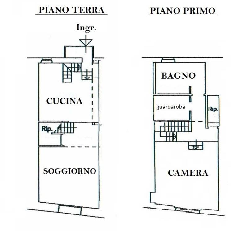 PIANTA BELLACCI FH