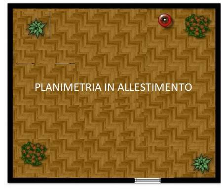 PLANIMETRIA